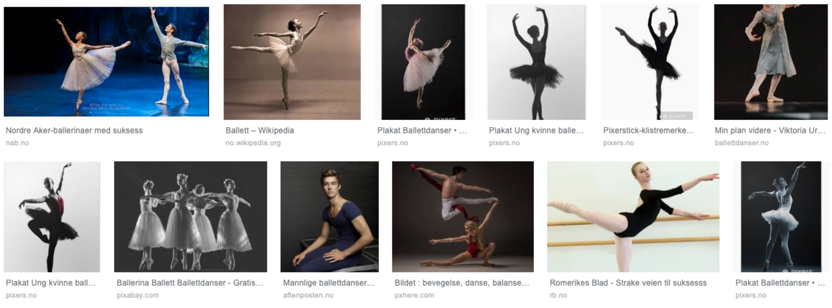 Bildesøket viser 12 bilder. De fleste bildene viser kvinner som danser ballett. Under et portrettbilde av en mann i ballettdrakt står det "mannlig ballettdanser".